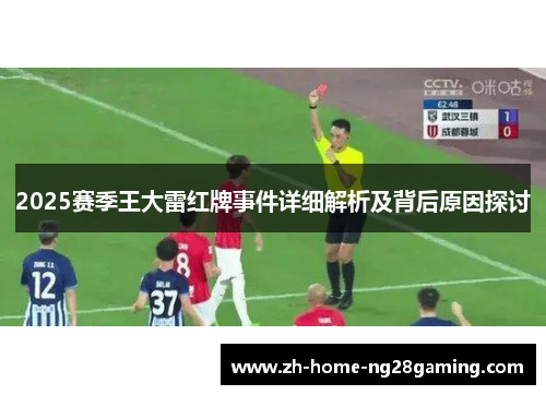 2025赛季王大雷红牌事件详细解析及背后原因探讨