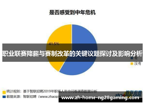 职业联赛降薪与赛制改革的关键议题探讨及影响分析