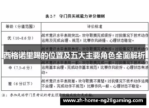 西格诺里踢的位置及五大主要角色全面解析