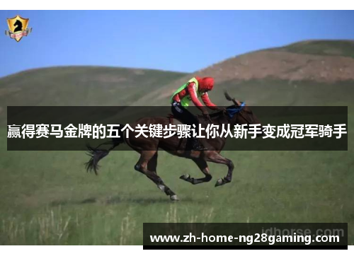 赢得赛马金牌的五个关键步骤让你从新手变成冠军骑手