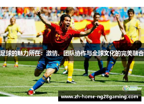 足球的魅力所在：激情、团队协作与全球文化的完美融合