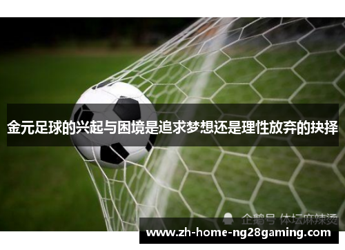 金元足球的兴起与困境是追求梦想还是理性放弃的抉择
