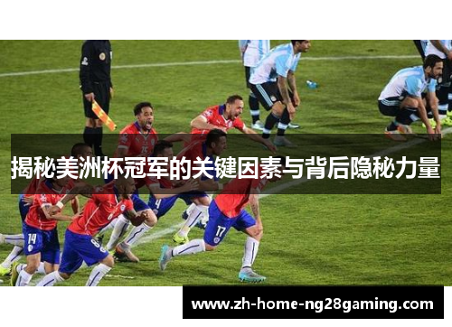 揭秘美洲杯冠军的关键因素与背后隐秘力量