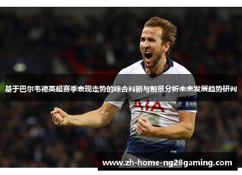 基于巴尔韦德英超赛季表现走势的综合判断与前景分析未来发展趋势研判
