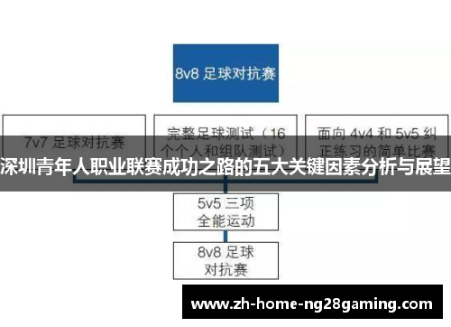 深圳青年人职业联赛成功之路的五大关键因素分析与展望
