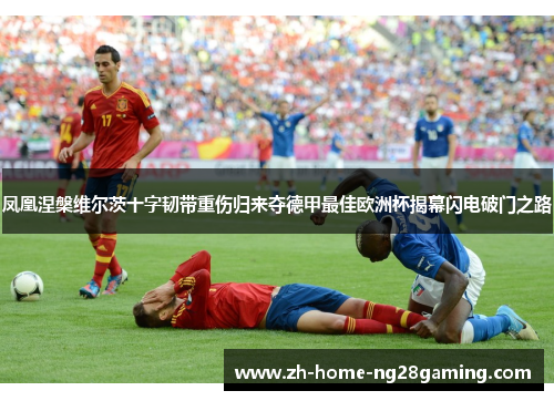 凤凰涅槃维尔茨十字韧带重伤归来夺德甲最佳欧洲杯揭幕闪电破门之路