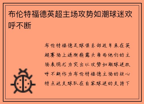 布伦特福德英超主场攻势如潮球迷欢呼不断